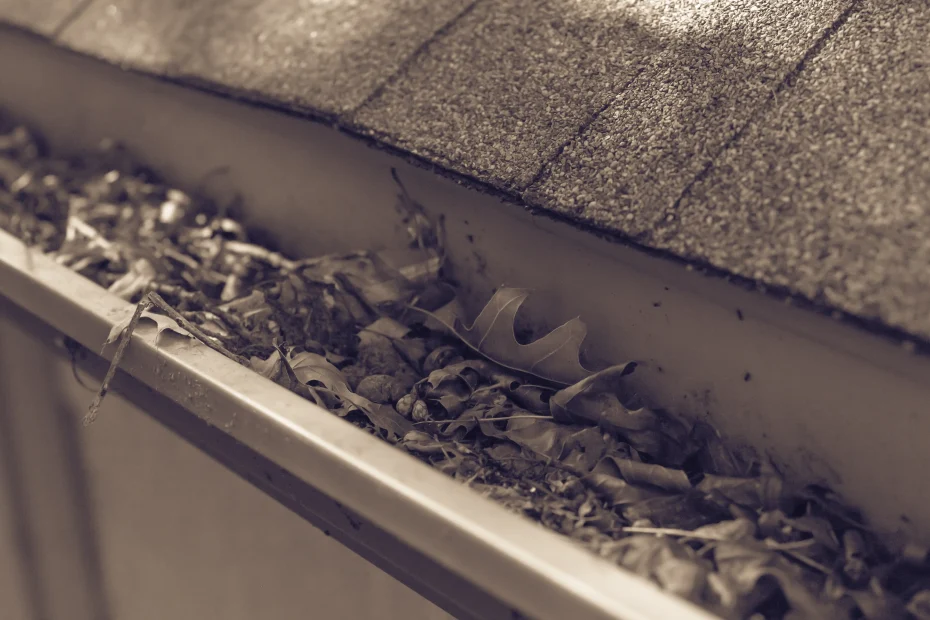 Gutter Cleaning Morrisville