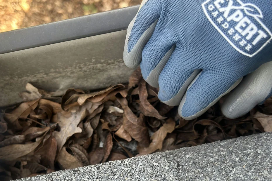 Gutter Cleaning Morrisville